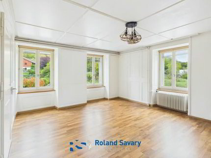 Appartement 2.5 pièces à Promasens 1/5