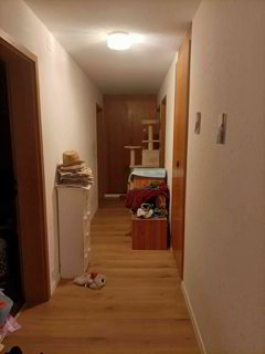 undefined 1/1