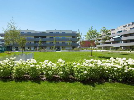 undefined 1/1