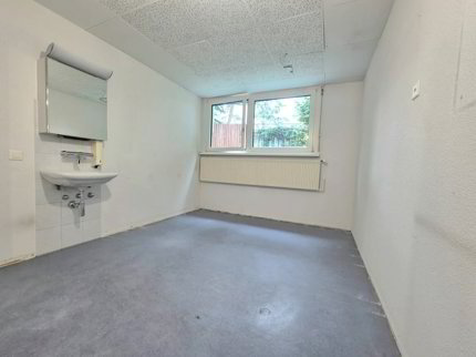 Büro mit verglaster Veranda im Grünen - 180 m² in Aarau mieten 1/5